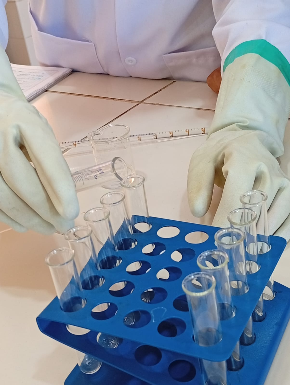 Práctica de laboratorio con tubos de ensayo